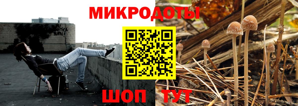 Псилоцибиновые грибы мухоморы Гурьевск